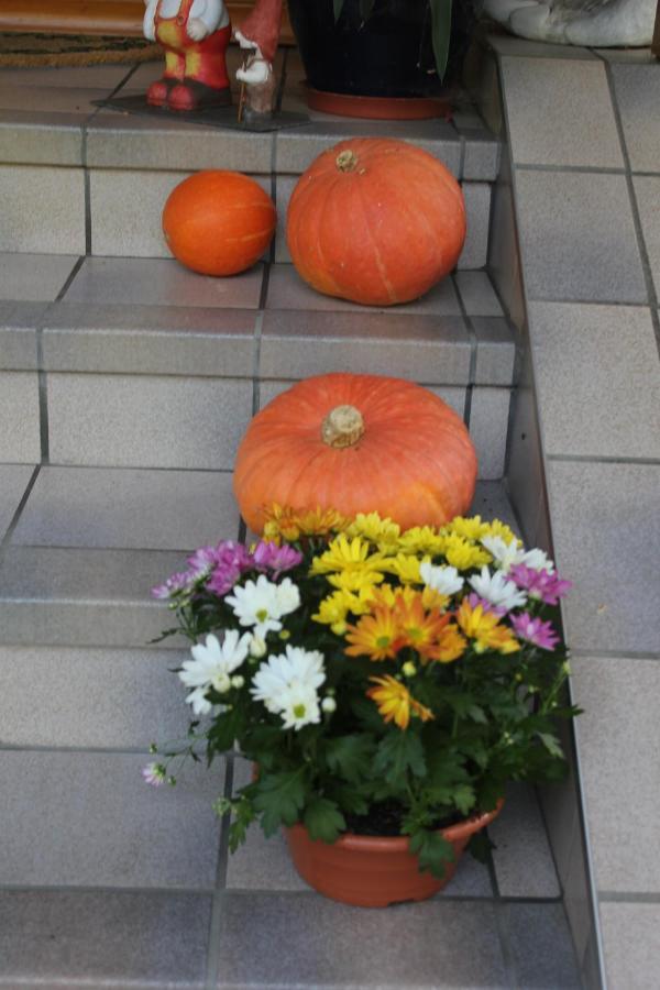 Apartment Strauss Ossiach